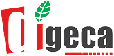 Digeca Elearning