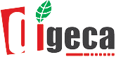Digeca Elearning